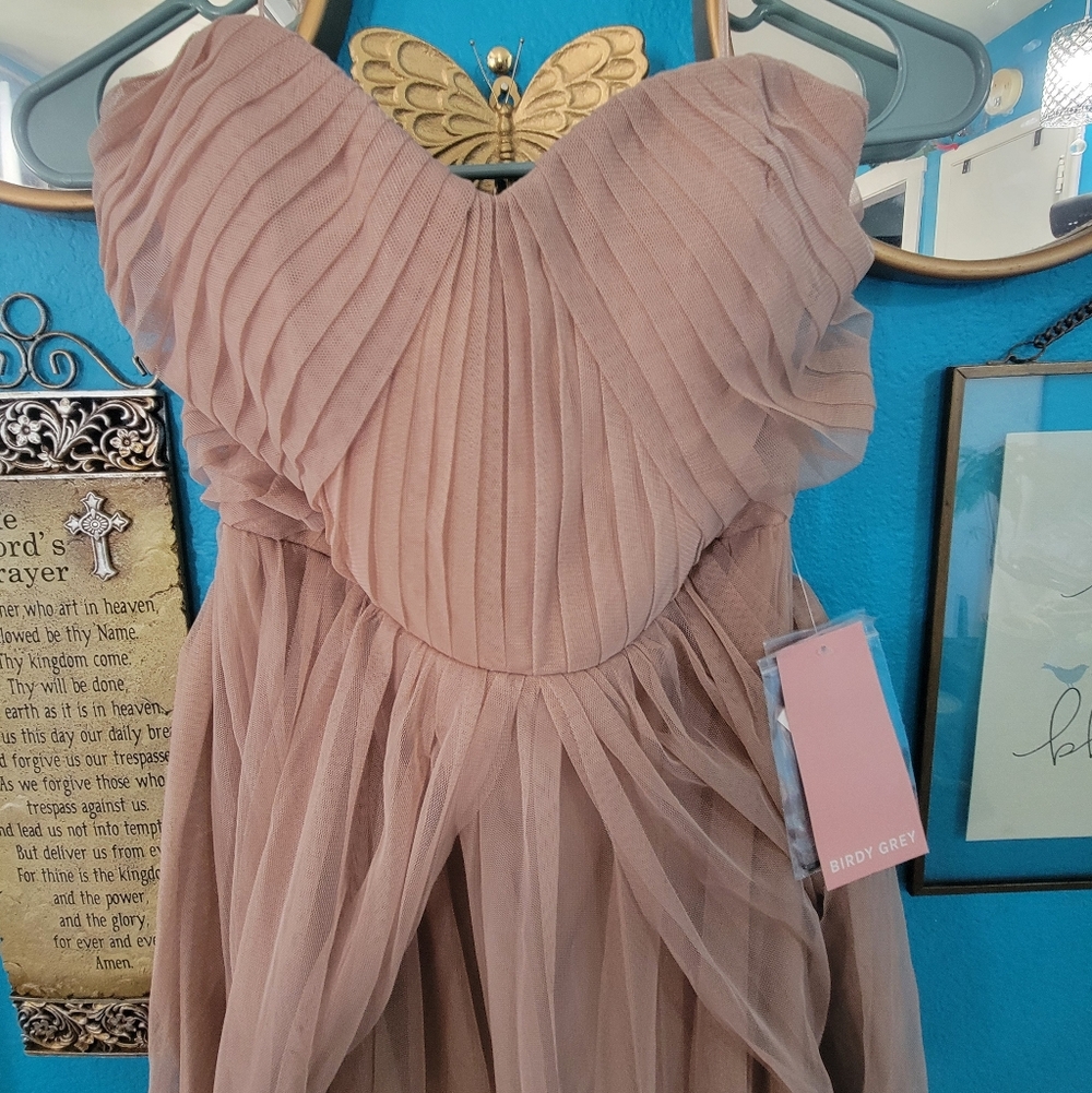 Birdy Grey Christina Taupe Formal Dress - Picture 5 of 16